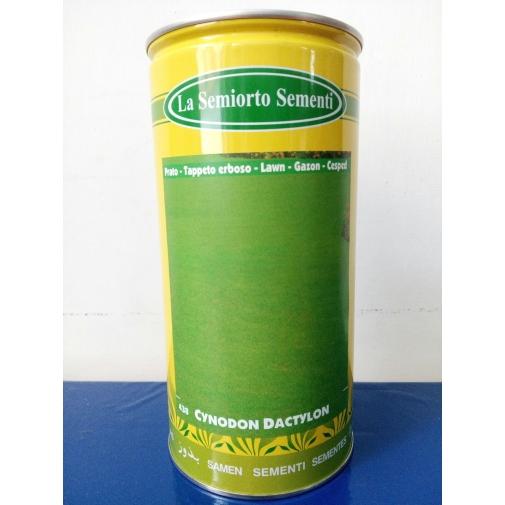 1 LB SEMENTI SEMI PRATO GRAMIGNA CYNODON DACTYLON TAPPETO FITTO ERBOSO GIARDINO