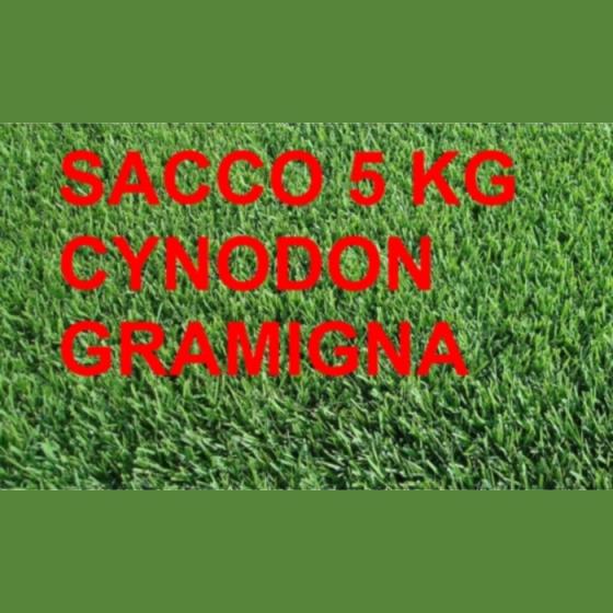 5 KG SEMENTI SEMI PRATO GRAMIGNA CYNODON DACTYLON TAPPETO FITTO ERBOSO GIARDINO