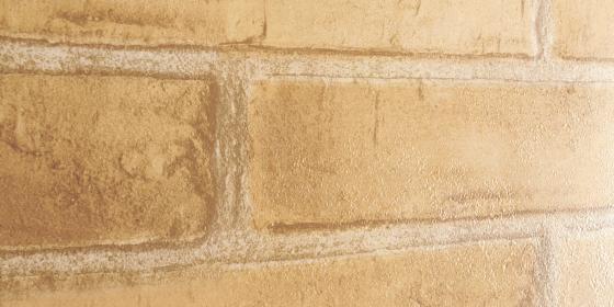 8 PZ Di DOGA RIVEST.PVC CM 270X25X0,8 BRICK T.SIENA
