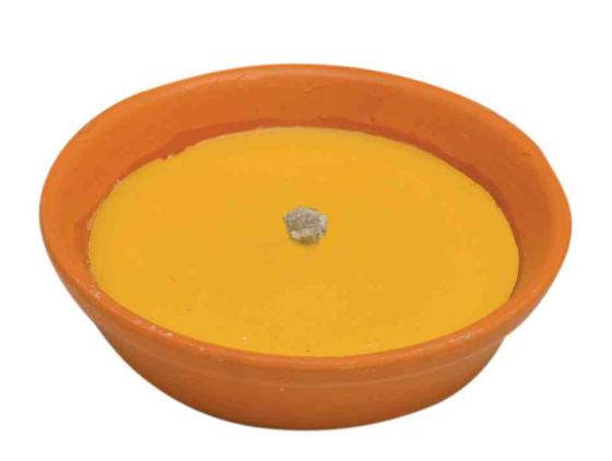53,0 PZ Di CITRONELLA IN COCCIO ANTIVENTO D 11 CM
