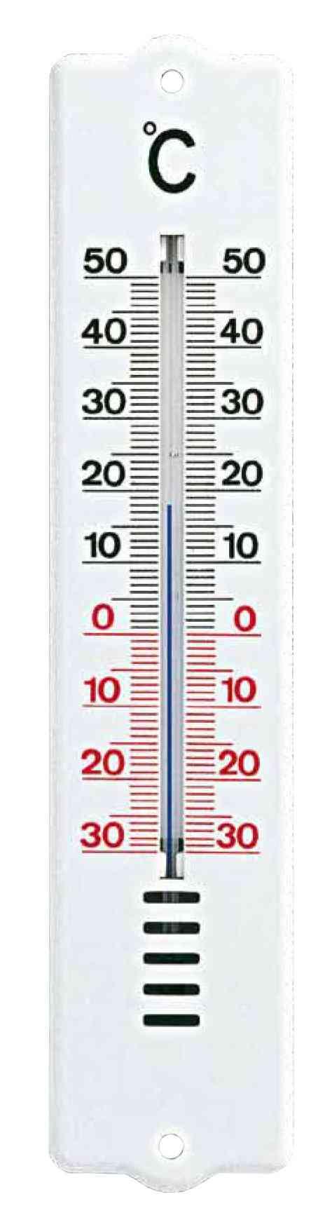 1,0 PZ Di TERMOMETRO IN ABS 20,5X4,5 CM                     