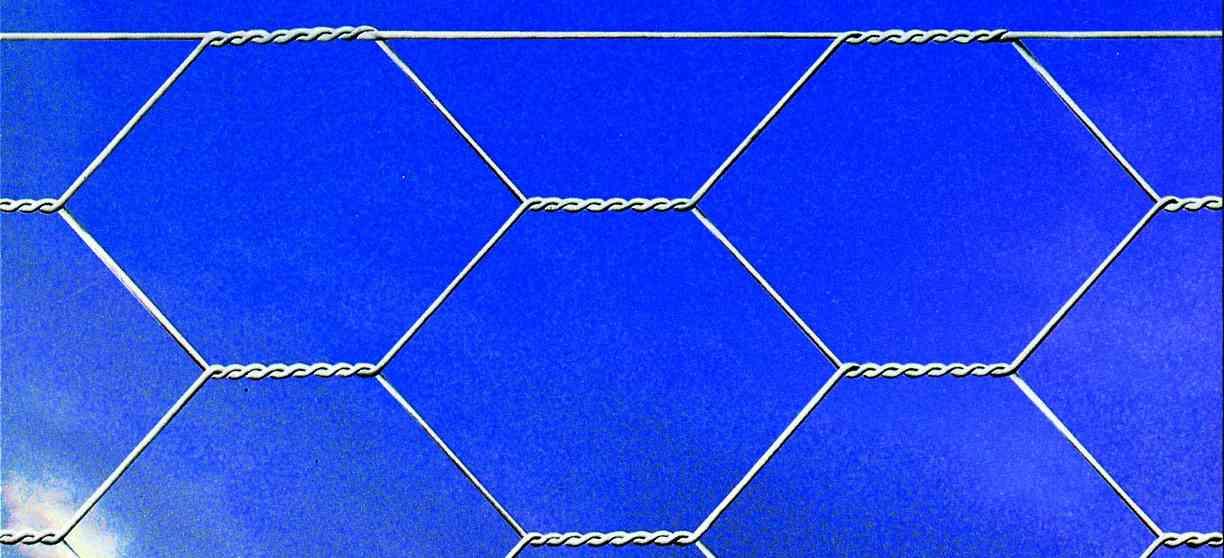 1,0 RT Di RETE TRIPLA TORSIONE F51.7 H150 ROTOLO ML.50