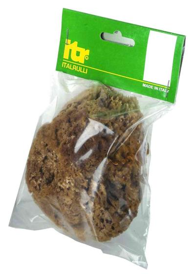 1,0 PZ Di SPUGNA MARINA NATURALE CM.14 PER PITTURE