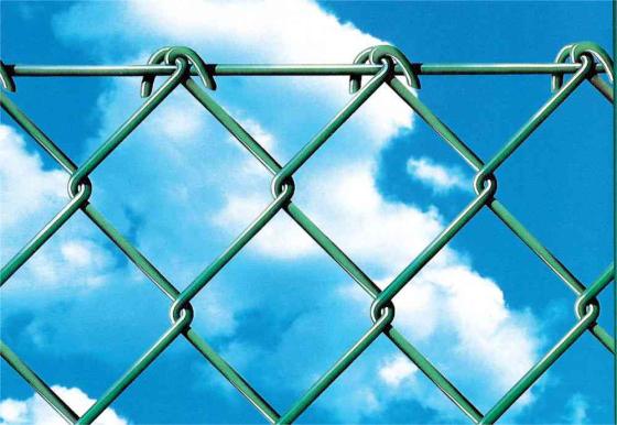 1,0 RT Di GRIGLIA PLASTICATA H 100 CM ROTOLO 25 M VERDE