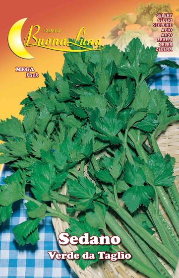 10,0 PZ Di SEMI ORTO SEDANO VERDE DA TAGLIO