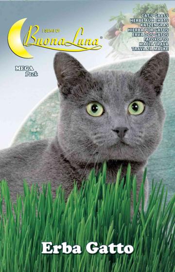 10,0 PZ Di SEMI ORTO ERBA GATTO