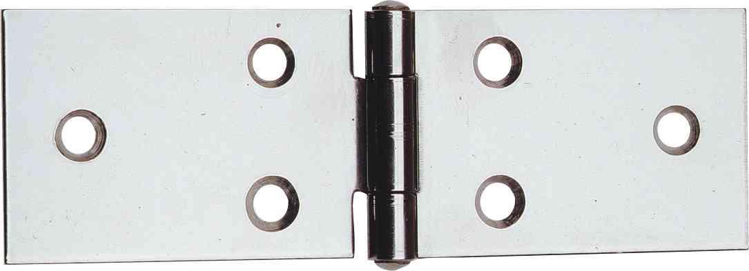 5,0 SC Di SC CERNIERE INOX LUNGHE  3.1/4-80X31 (PZ.2)