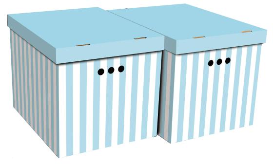 12,0 CF Di SCATOLA CARTONE CM 42X32X32H SET 2PZ COL.033