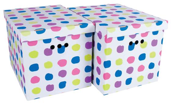 12,0 CF Di SCATOLA CARTONE CM 42X32X32H SET 2PZ COL.003