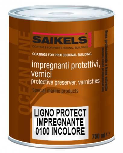 2 PZ Di *IMPREGNANTE PROTECT TRASPARENTE   LT.2,5
