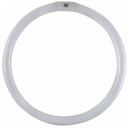 12,0 PZ Di CIRCOLINE FLUO TRIFOSFORI W40 *