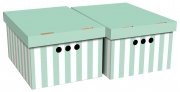 12,0 CF Di SCATOLA CARTONE CM 33X25X18H SET 2PZ COL.034