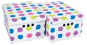 12,0 CF Di SCATOLA CARTONE CM 33X25X18H SET 2PZ COL.003